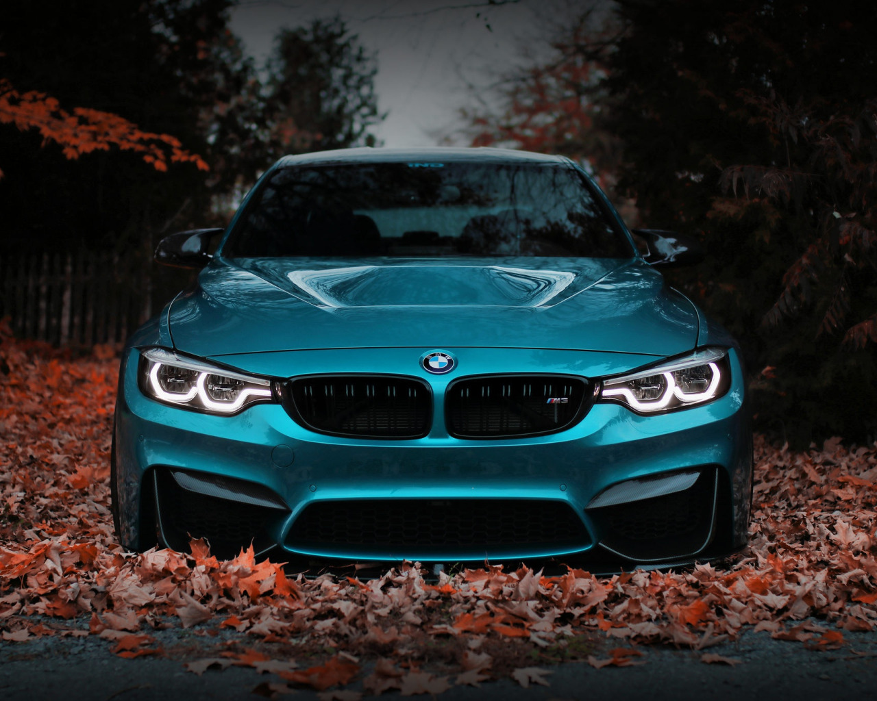 Bmw-m3-f80-blue-front-face-sight-autumn