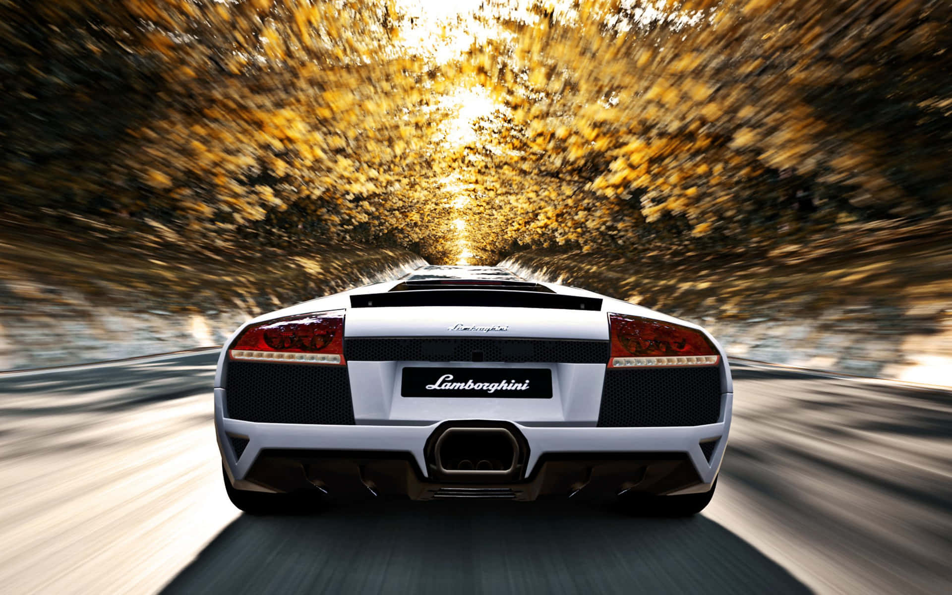 Lamborghini-murcielago-2560-x-1600-wallpaper-5za1hjpzymbw9q21
