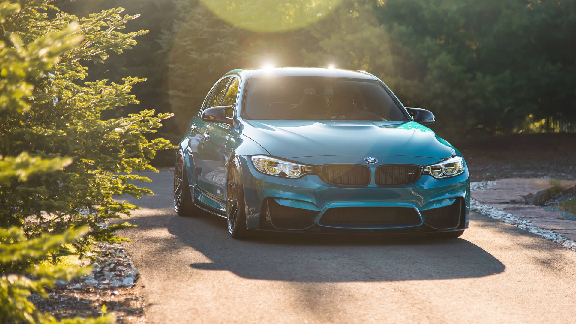 Sun-glowing-on-blue-bmw-gzn4c5zla59speva
