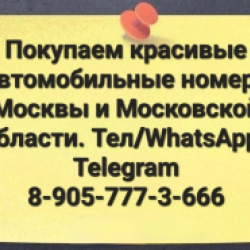 Пользователь