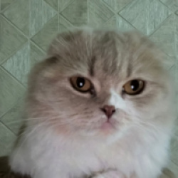 Профиль